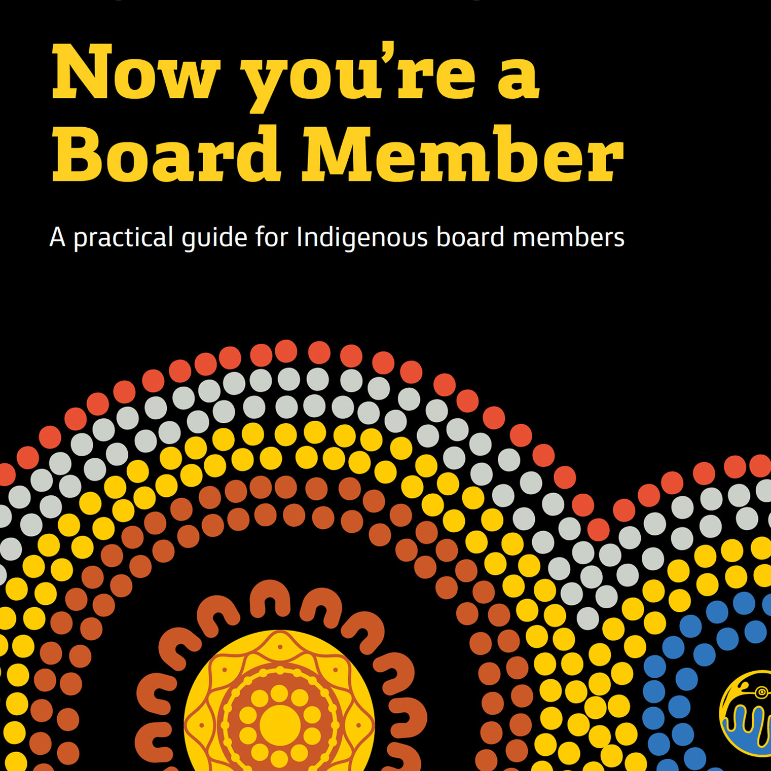 Now You're a Board Member: A practical guide for Indigenous board members