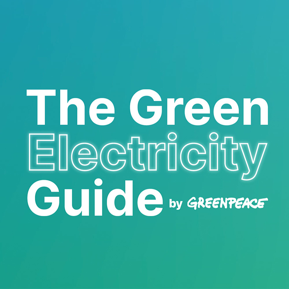 Green electricity guide